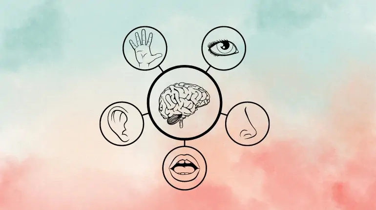 Percepção: quais os nossos sentidos?